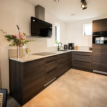 Wellness With Sauna, Outdoor Bath And Shower, Parc Maasresidence Вилла